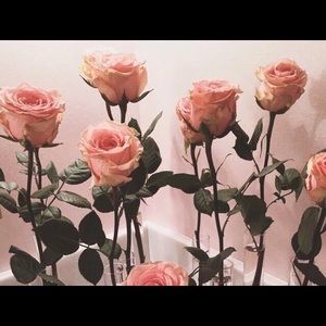 Meet your Posher, Dayan